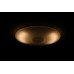 DALEN inteligentné LED stropné osvetlenie DL-C306T